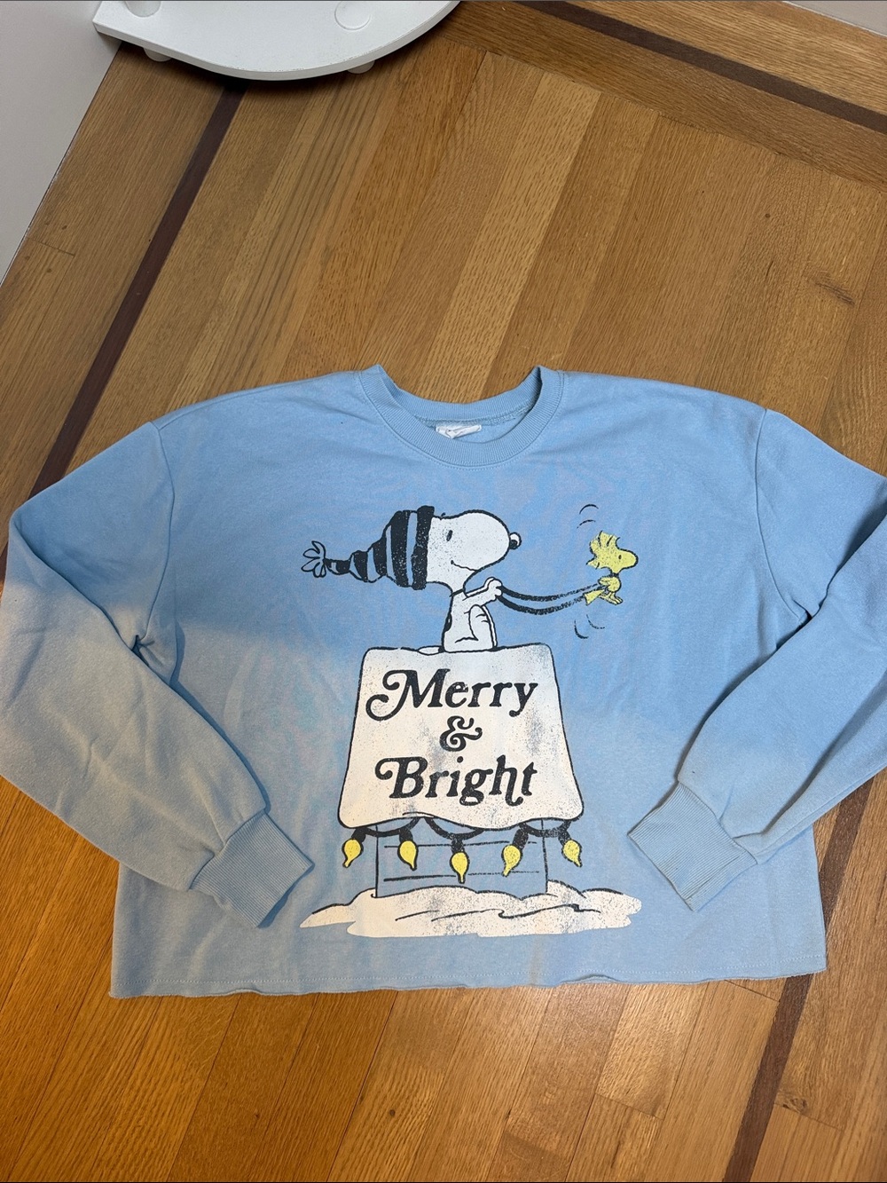 Snoopy Holiday sweater